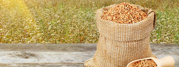 Bag of buckwheat in field