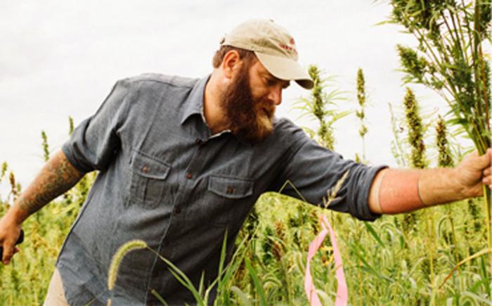 Main in hemp field