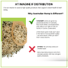 hemp seeds 8