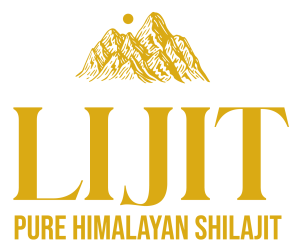 Lijit Logos Gold 03