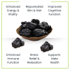 shilajit benefits