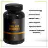 shilajit gummies3